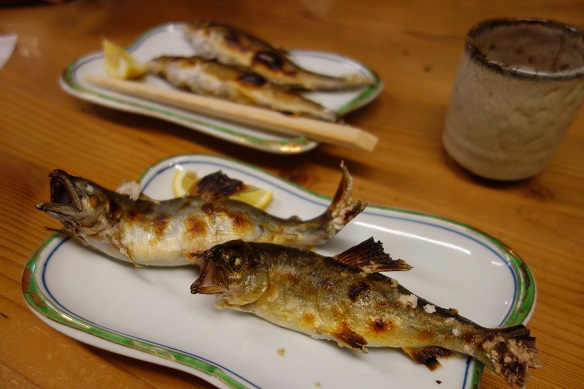 DSC04988.JPG