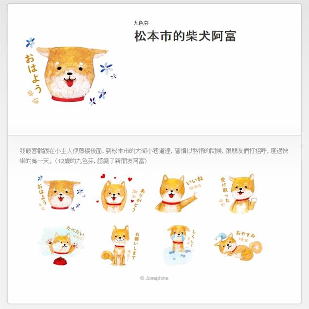 嗨！松本市的柴犬阿富，來得早不如趕得巧！