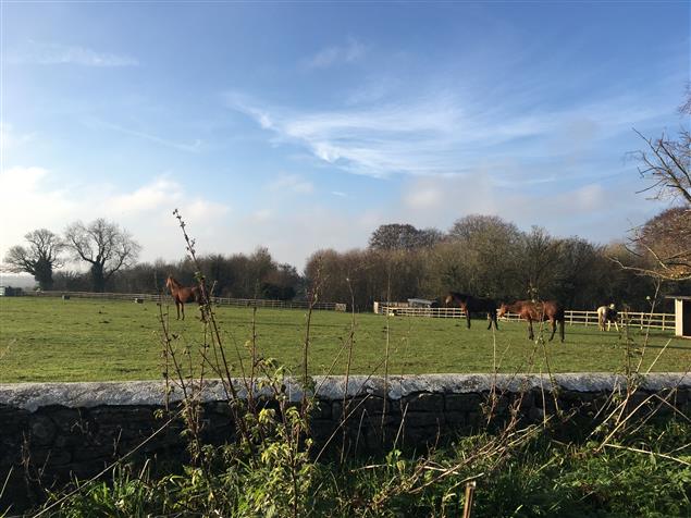 英國｜景點-愛上科茲窩『絕美cotswolds拍到記憶卡滿滿滿，讚嘆傳統地圖』