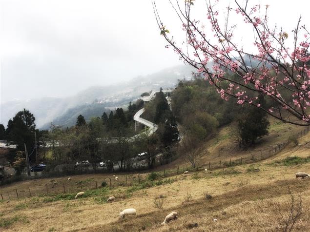 攔不住的車尾雲煙