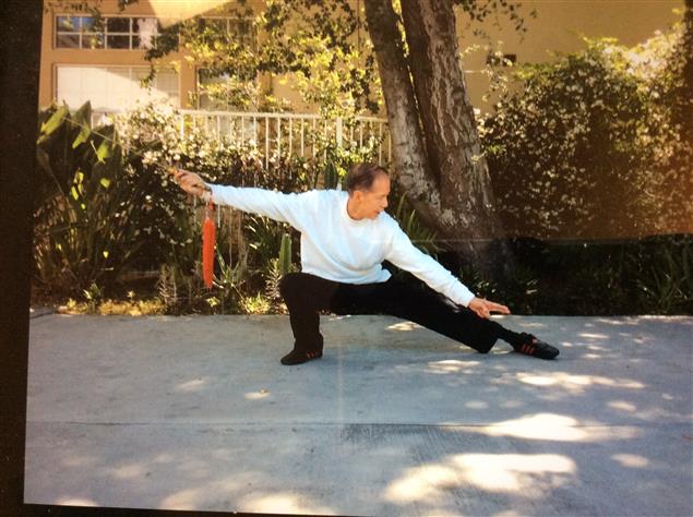 家有武癡/ 岑霞