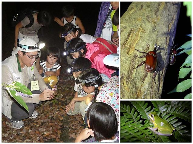 羅東自然教育中心邀您「夜探林場」，一起漫步探訪夜間活動的生物們！