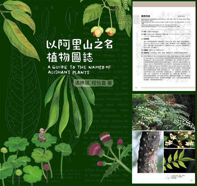 《書介》以阿里山之名-植物圖誌