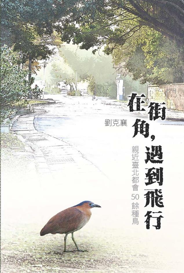 跟著劉克襄走訪城市飛羽之旅 《在街角，遇到飛行》公開12條私房賞鳥路線 讓你「聽」見鳥鳴