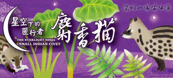 用影像幫麝香貓寫日記～「星空下的匿行者－麝香貓」生態影片發表會將於5/22(五)舉行