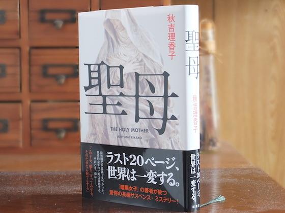 聖母 THE HOLY MOTHER@畫心女神愛閱讀