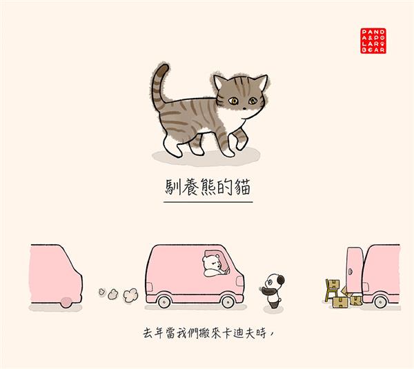150731-The-cat-who-adopted-bears-Chinese-showwe-1.jpg