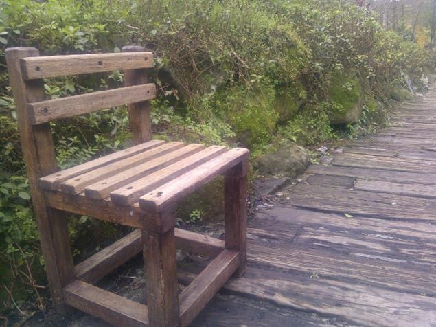 來自國中生的回答：什麼是自由？