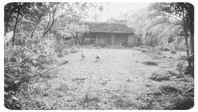 pre-很漂亮那花冠戴在頭上的少女正在唱歌