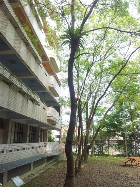 【感恩之旅的第二站：回憶很多的高中】