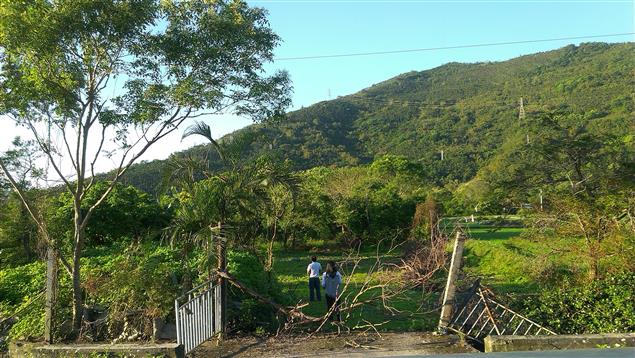 【感恩之旅的第三站：綠色的童年和泛黃的感激】