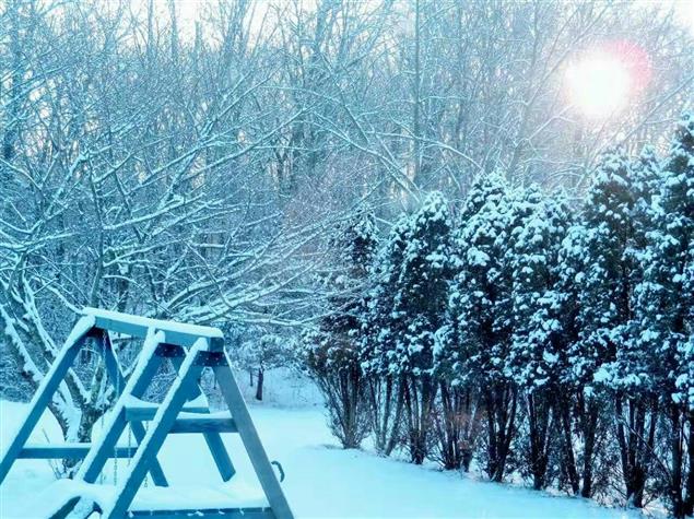 梁楓  |  詩藝四題:袒露、剔除、博愛與再造 