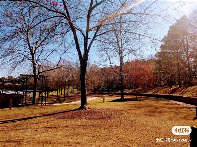 梁楓| 這個時代寫作者的焦慮 ------《七寸帖》後記