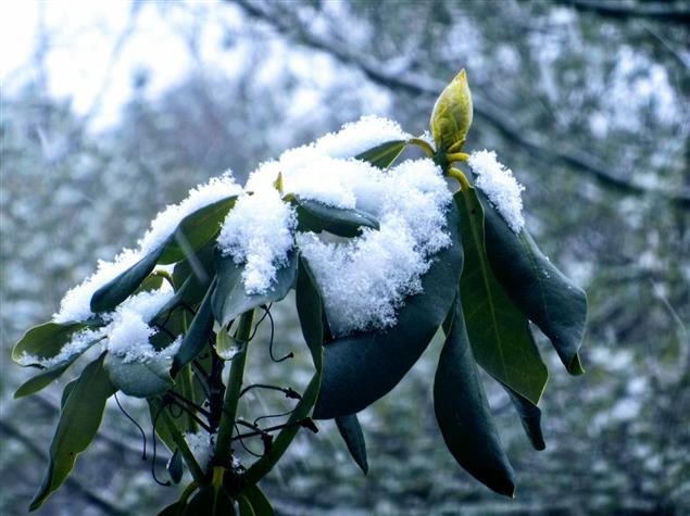 梁楓| 詩集《七寸帖》選讀 （三）