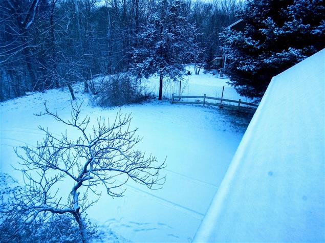 梁楓| 詩集《七寸帖》選讀 （四）