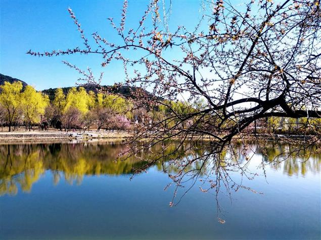 梁楓| 詩集《七寸帖》選讀 （六）