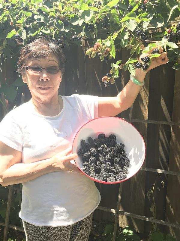 婉冰採下的黑莓IMG_0327.jpg