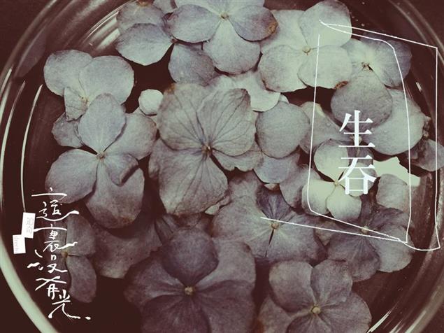 這裡沒有光》生吞