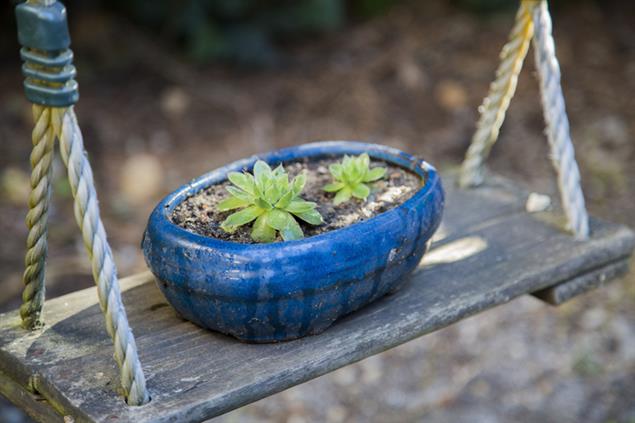 結痂》相愛練習