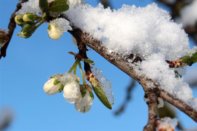 聽見宋朝好聲音：宋詞那些人、那些故事》恐怖渣男！才女吳淑姬靠寫歌扭轉局勢，救自己出監牢