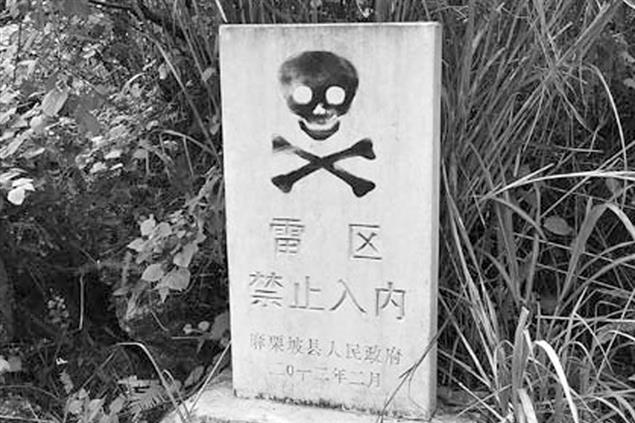 青苔不會消失》在地雷上尋找家園