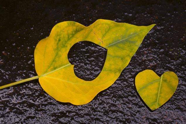 掰掰戀愛腦》太自我感覺良好，「忠犬」也會離你而去