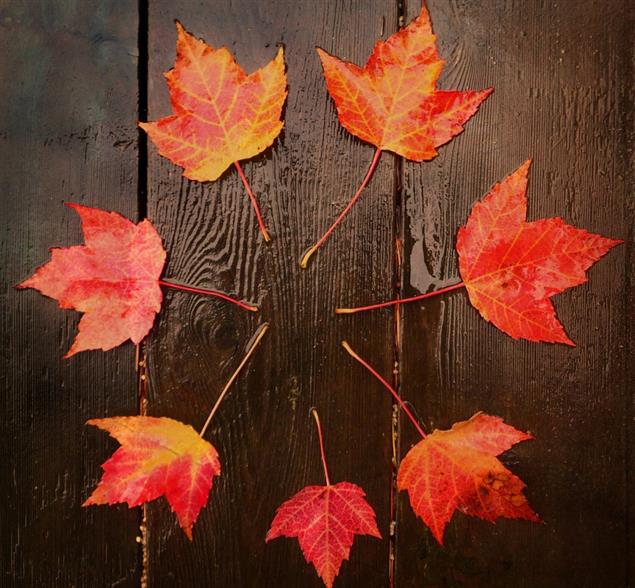 這篇十多年前的散文，竟然到今天看起來還意蘊深遠～～在當時創作時，有“與眾不同”的想像力！