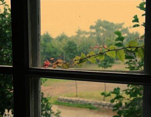 刚下雨时不开窗户.jpg