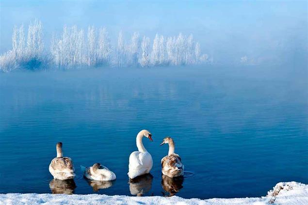 準備越冬的十月（兒童文學、青少年文學）