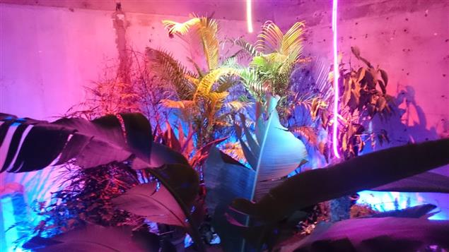 【書評以外02】誰的目光會先逃離：《恥的子彈》觀後