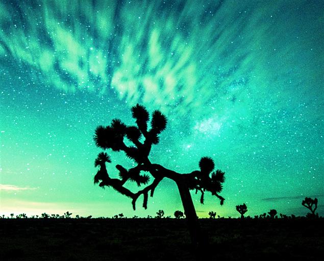 【2016台北國際書展】第二波主題：驚蟄　這麼多獎品和優惠錯過了怎麼辦啊！