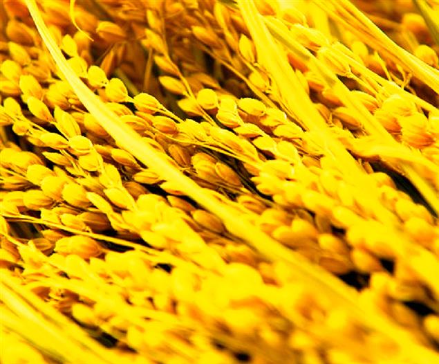 【2016台北國際書展】第三波主題：夏至    　快來出個對子對死他~~!!!