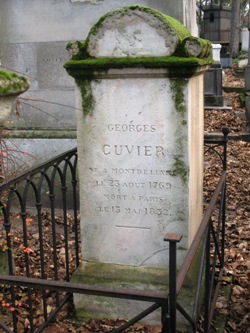 tombe cuvier_8.jpg