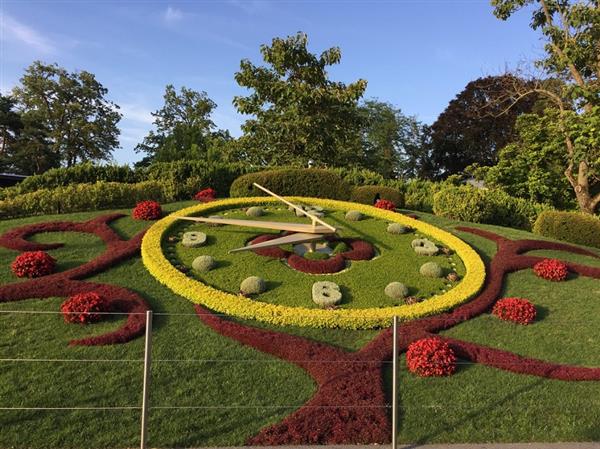 麥勝梅  山隱隱水粼粼話瑞士 (下)6 Klein_花鐘.JPG