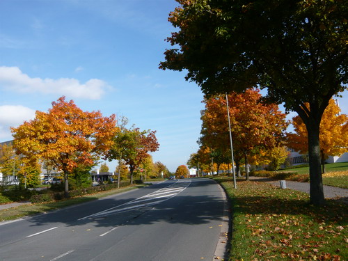 麥勝梅  歐華詩選 2019 Wetzlar Herbst 2.jpg