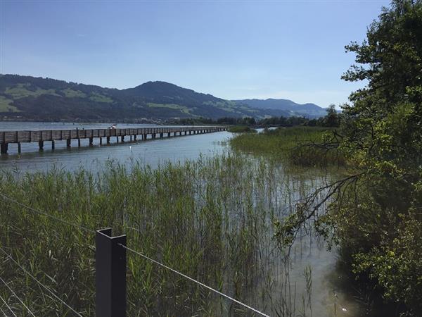 麥勝梅  山隱隱水粼粼話瑞士 (下) 13Jona 木棧橋.JPG