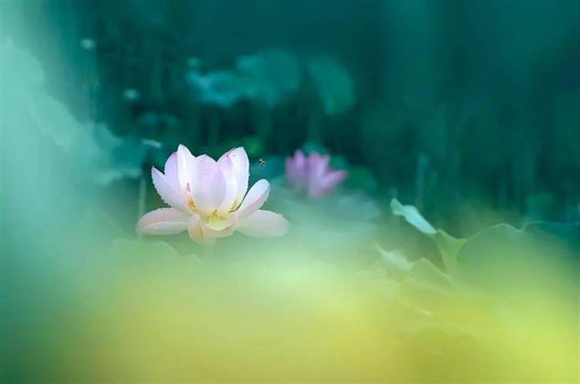 中元节举头三尺有神明 一颗石榴来结缘