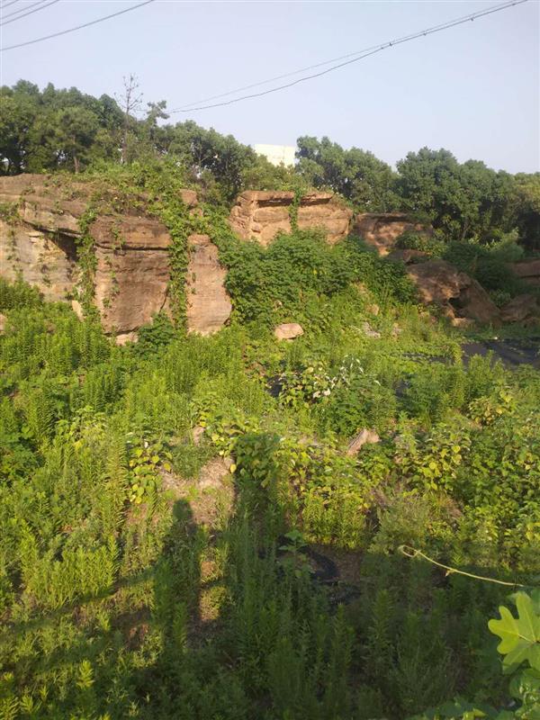 webwxgetmsgimg (14).jpg