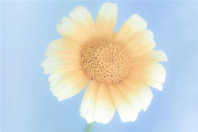 這些被單身協會”鎖定的星座，要從自己身上找原因