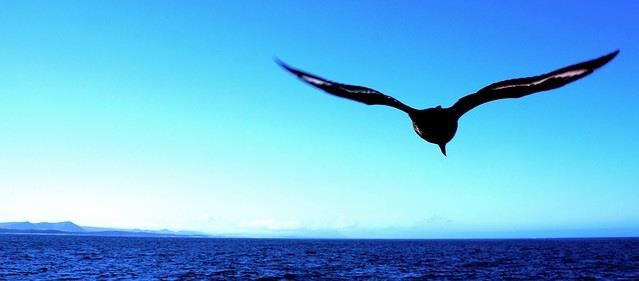 讀寓言故事學誠實守信