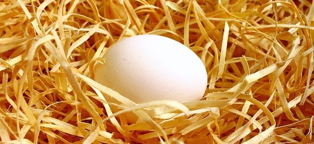 【母親節專輯】馬來西亞作家冰谷回憶媽媽的韭菜蛋