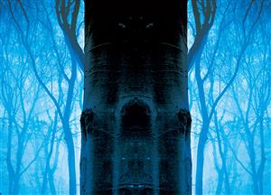 潘壘全集十八冊經典再現第一波：  魔鬼樹