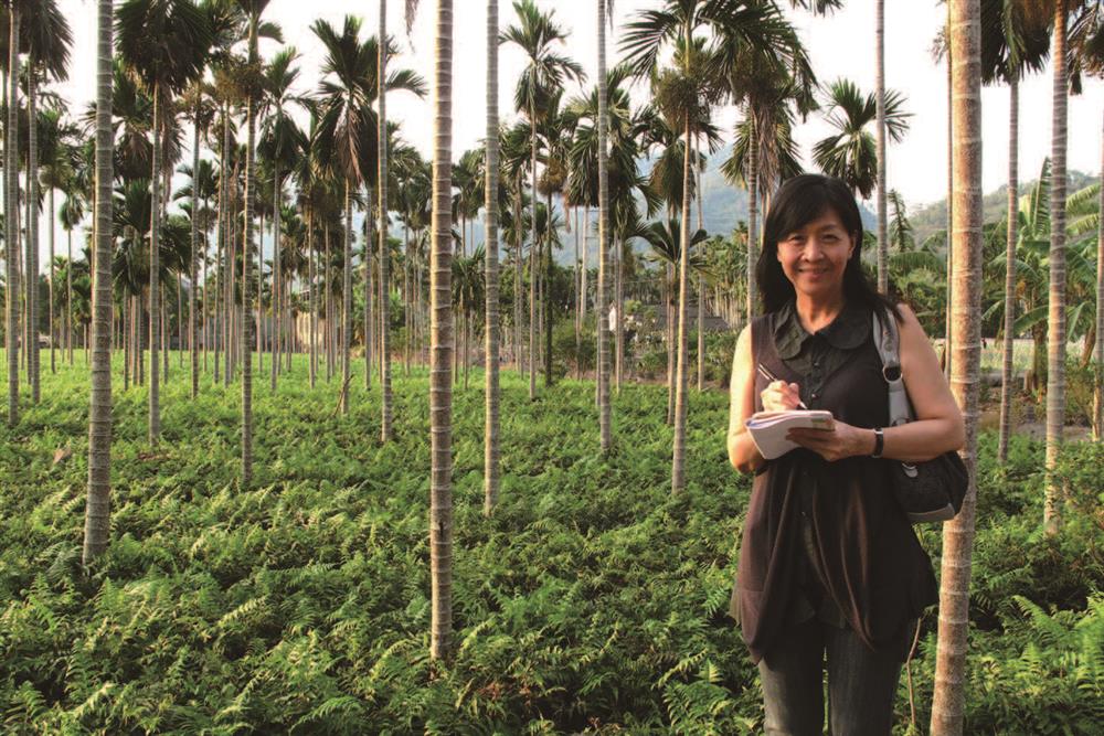 【社會企業報導】東風經典食材，從土地復耕到良知消費