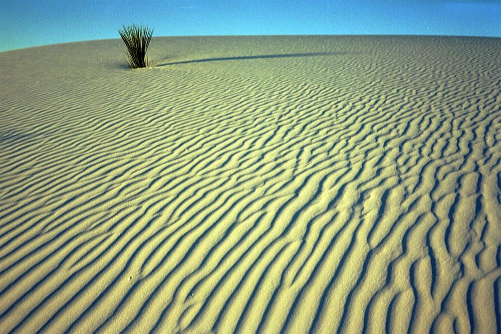 生命之河的遊人手記──落蒂《風吹沙》的詩寫人生