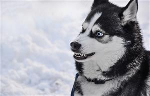 要怎麼用英文解釋那個超愛抱怨的____？三分鐘讓你的文法充滿負能量