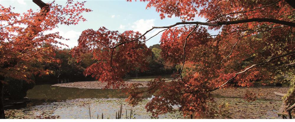 【日本打工度假須知】要怎麼找工作？