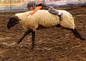 Hold住，就能淡定！