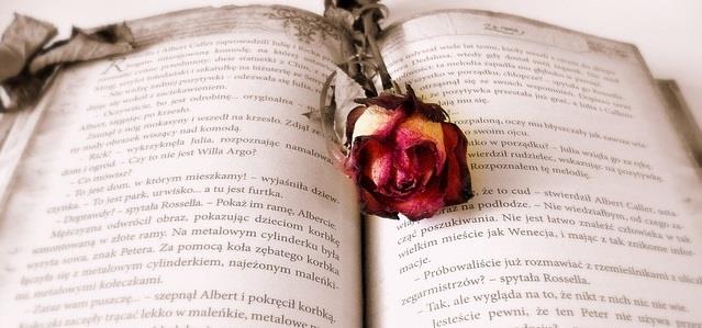 單純美好的校園愛情故事《原來 幸福一直都在》