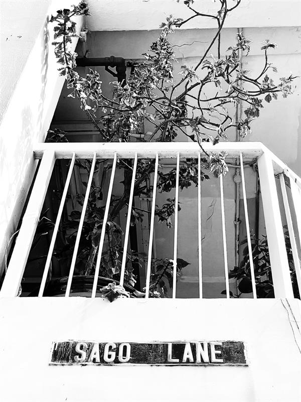 我獅城，我街道 - 內文(final).jpg