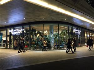 「蔦屋」明明是書店，為何自稱為「家電」？